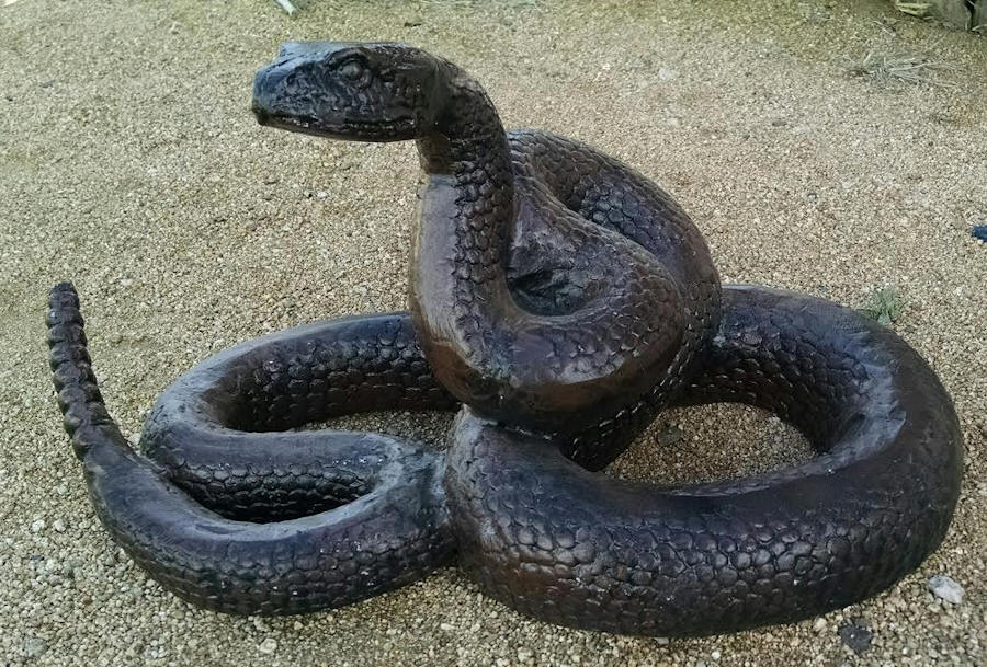 Rattlesnake