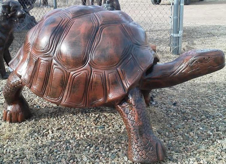 Lg Tortoise #5