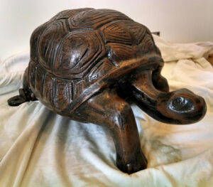 Regular Tortoise #4