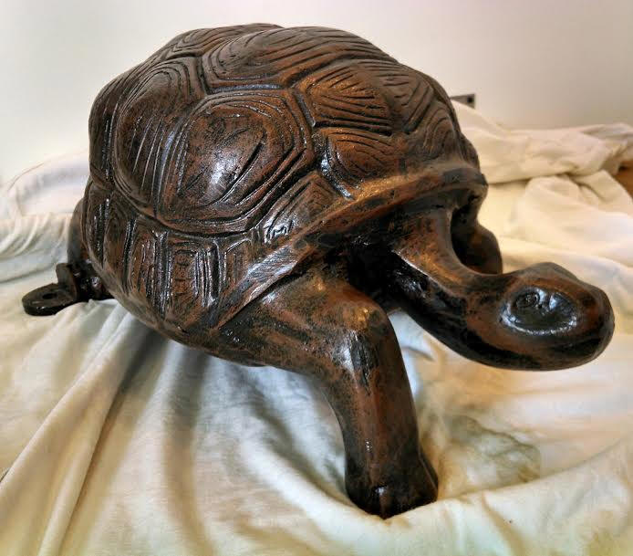 Regular Tortoise #4