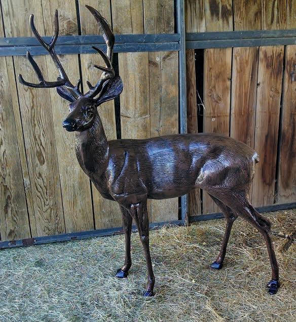 Buck