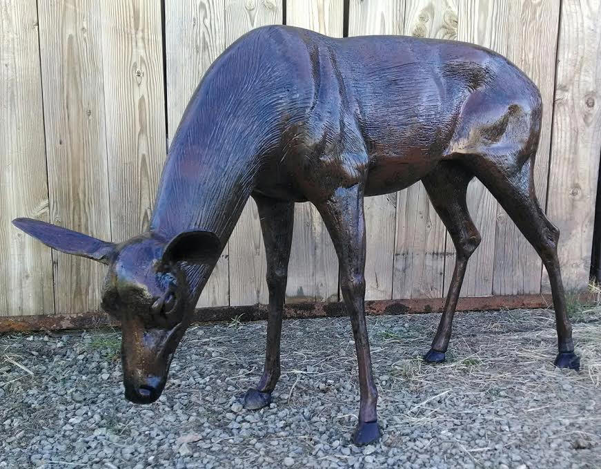 Doe