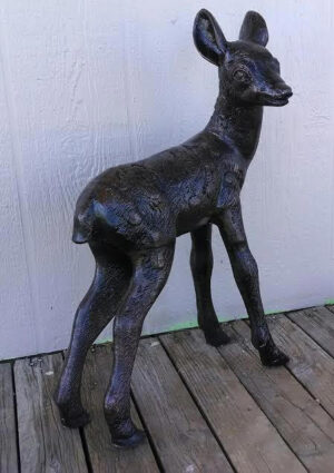 Baby Deer