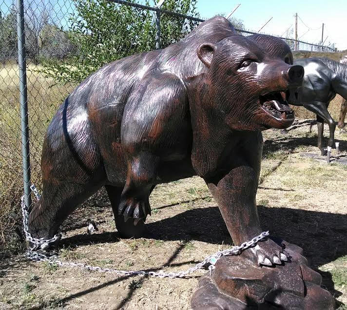 Hunched Grizzly Bear on Stone