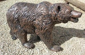 Baby Grizzly Bear, Walking