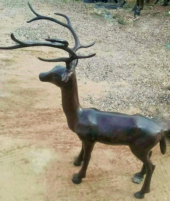 Deer, Medium Buck