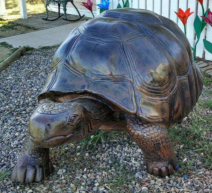 Turtles, Tortoises, Frogs, Reptiles